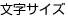 文字サイズ