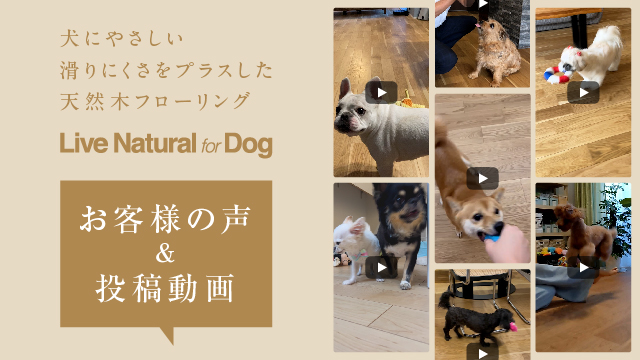 ライブナチュラルプラス for Dog｜ライブナチュラル｜朝日ウッドテック | 朝日ウッドテック