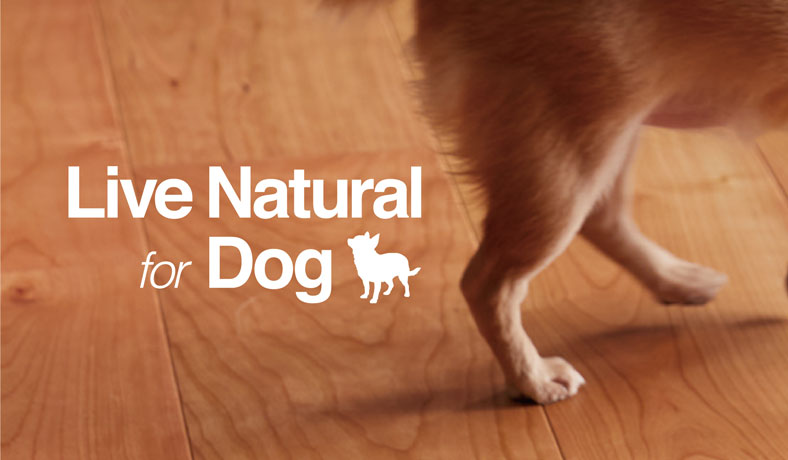 Live Natural forDog