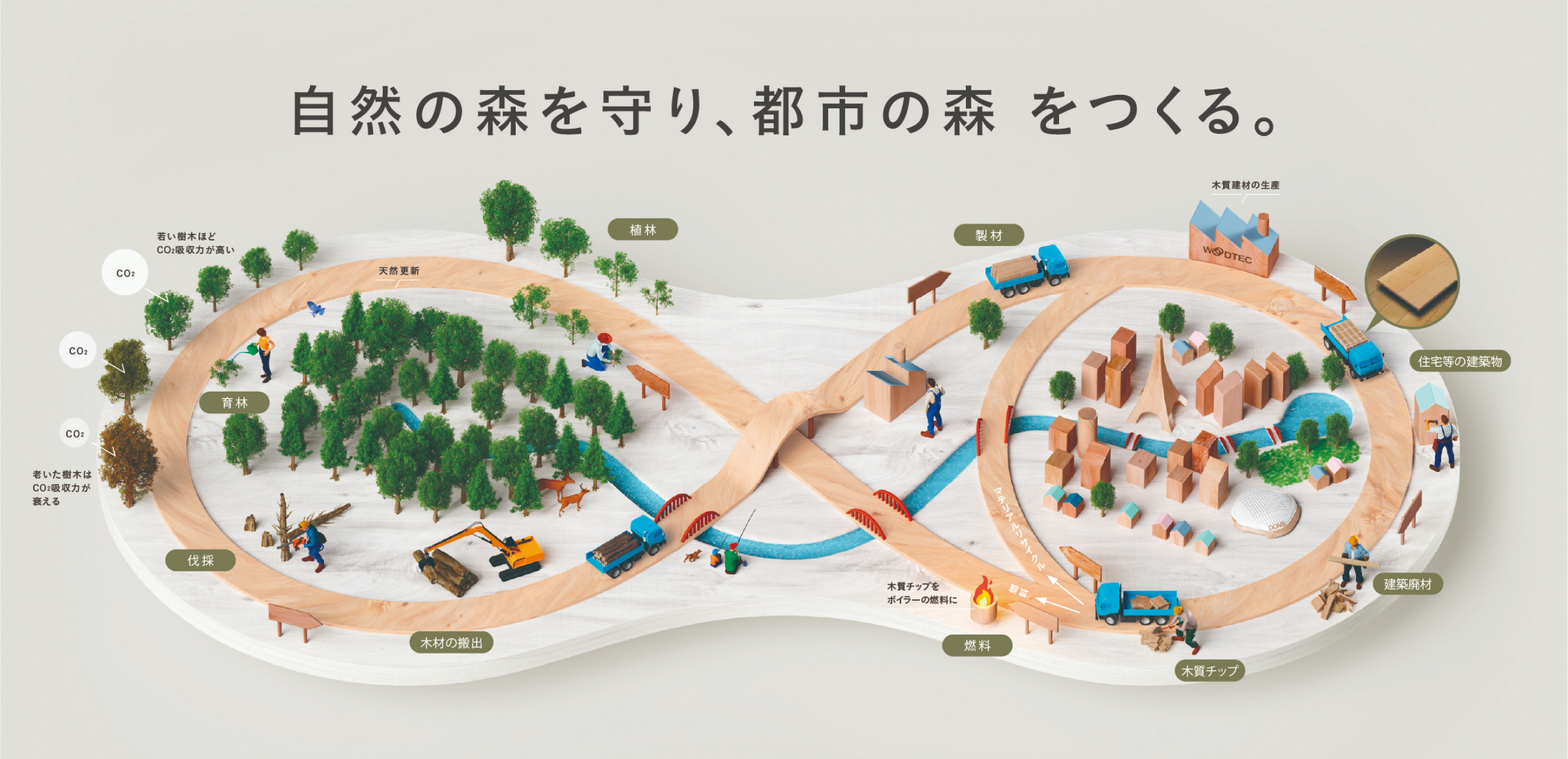 自然の森を守り、都市の森をつくる。朝日ウッドテックの環境ビジョン