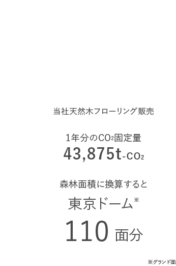 当社天然木フローリング販売による1年分のCO2固定量43,875トン、東京ドーム110個分