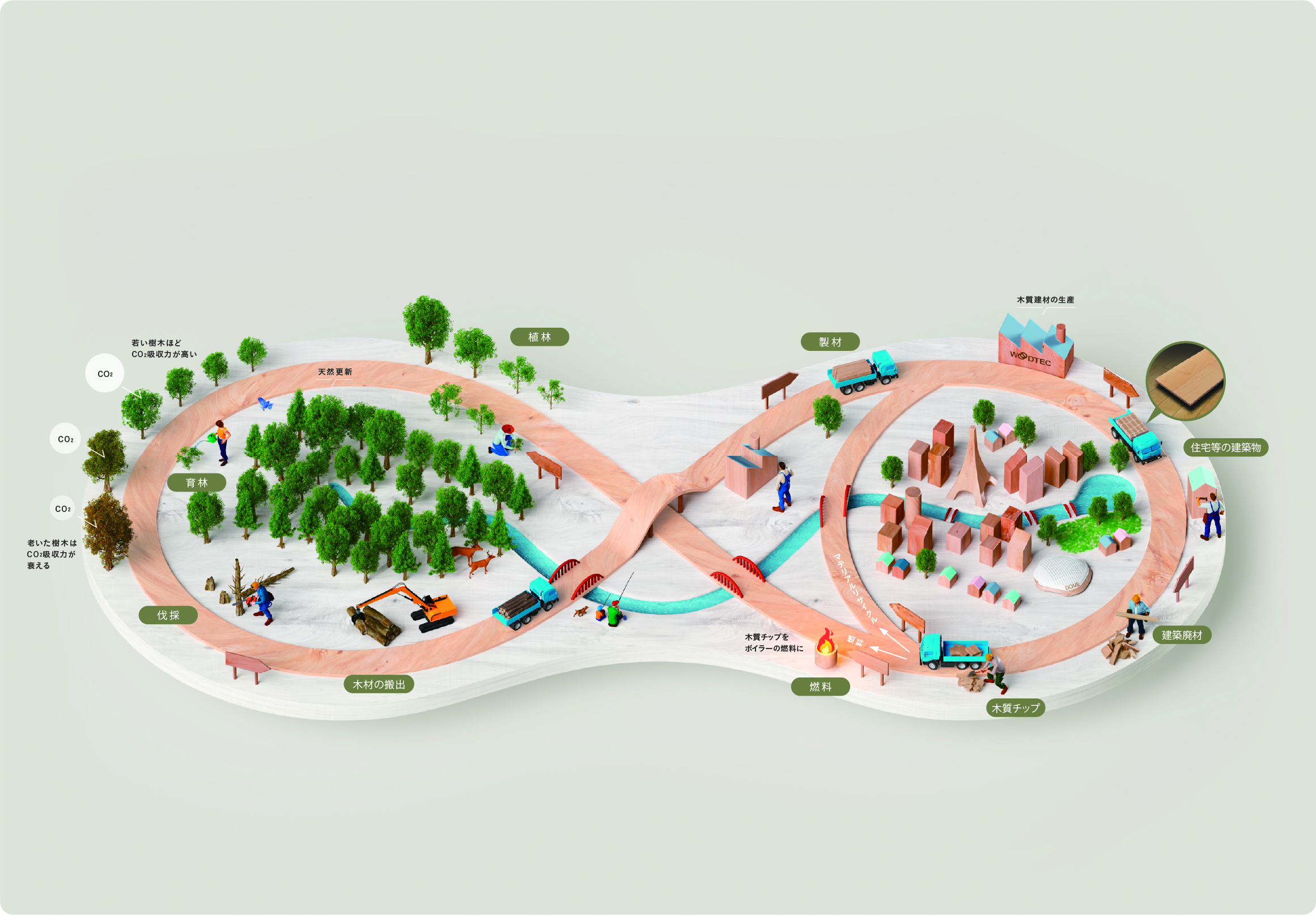 森林から木材を生産し、建材として都市で活用し、廃材を再利用する循環のイメージ