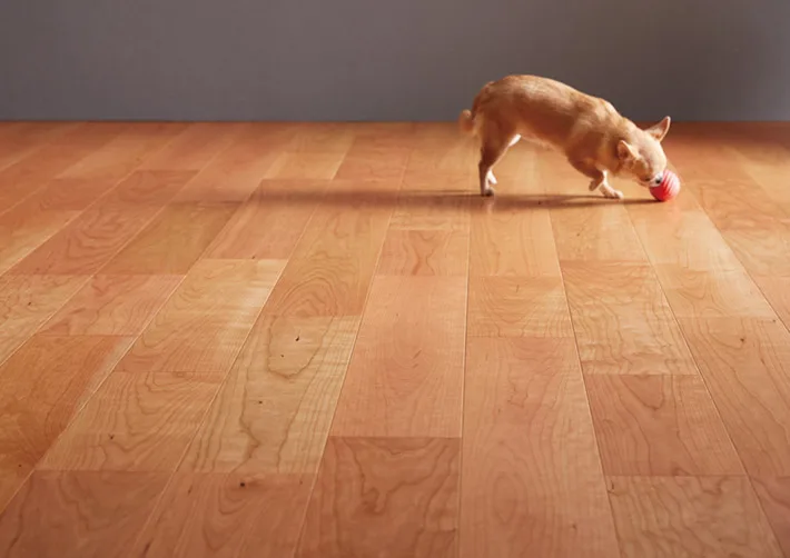 フローリング ライブナチュラル 朝日ウッドテック