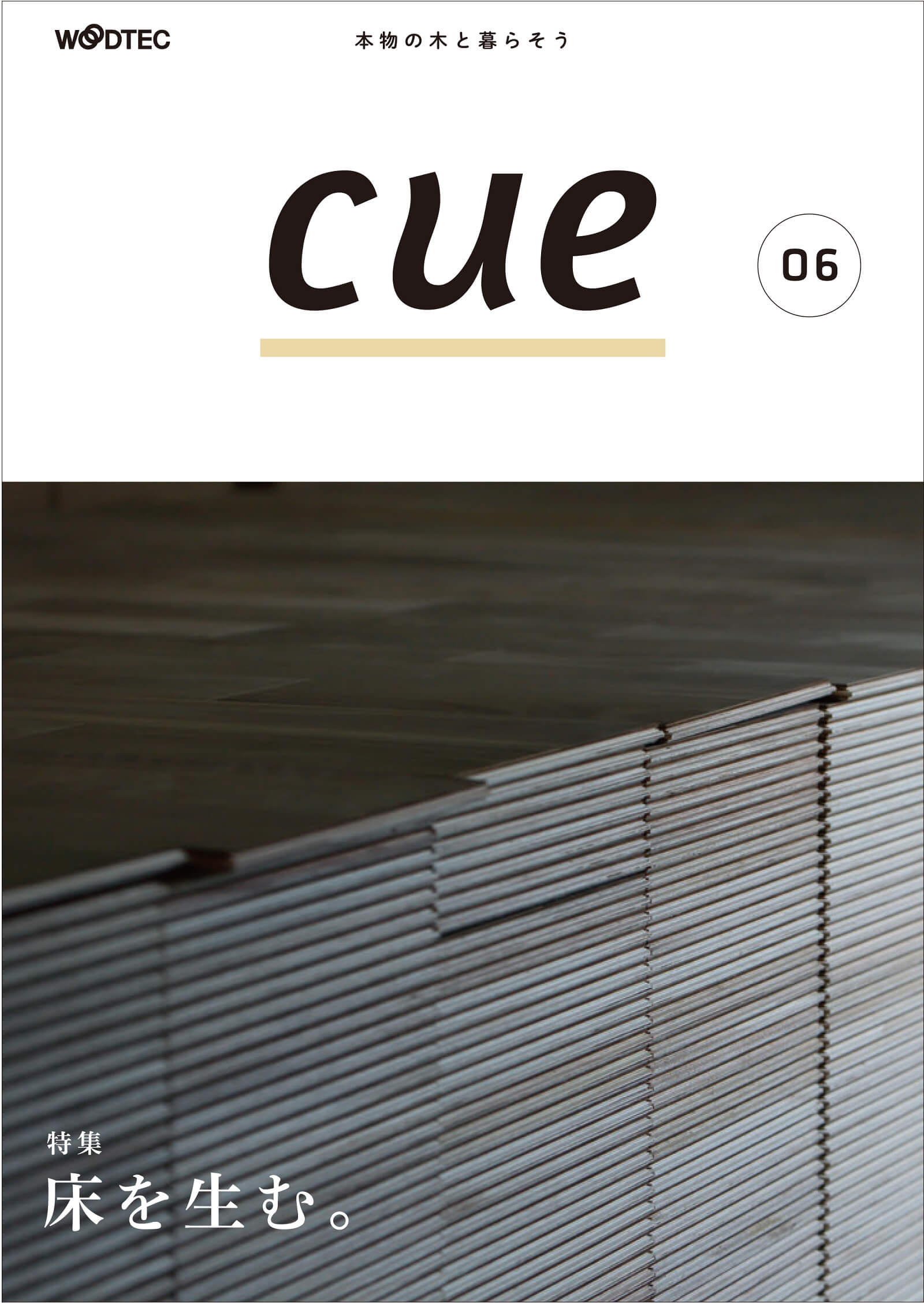 CUE06.jpg