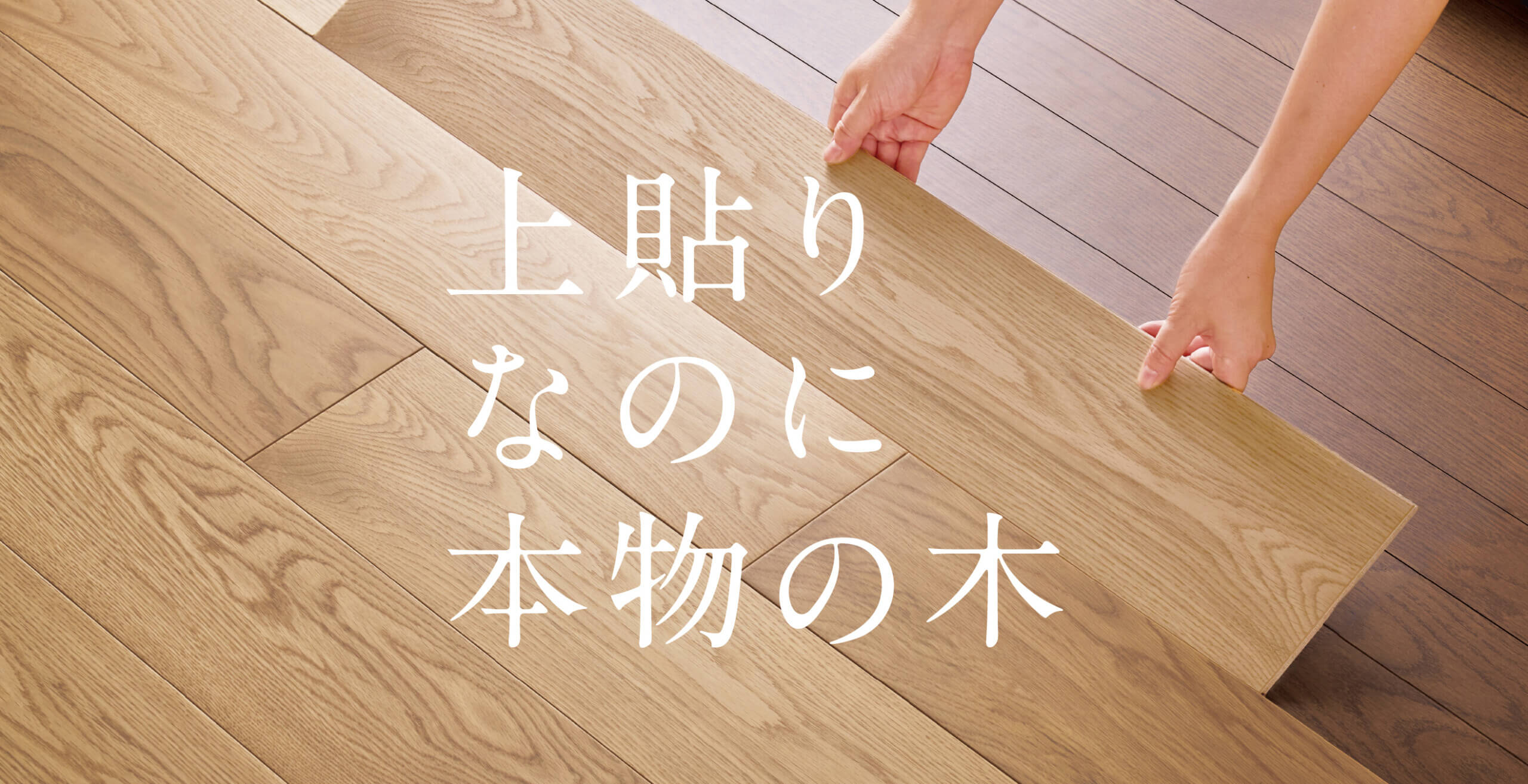 ライブナチュラルMSX スマートレイヤー ｜ライブナチュラル｜朝日