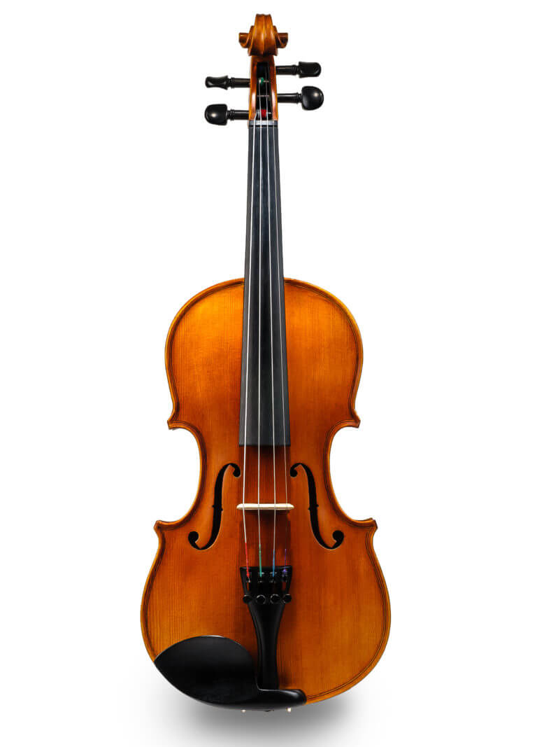 バイオリン（表板） | フローリング総合研究所