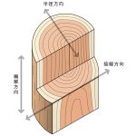 木材の異方性と強度