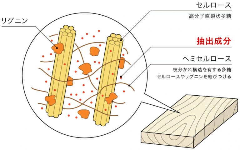 木材中の成分