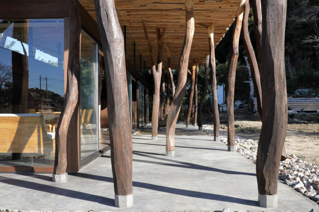 里山だった場所と融合する家 | 朝日ウッドテック FOCUS ARCHITECT(フォーカス アーキテクト)