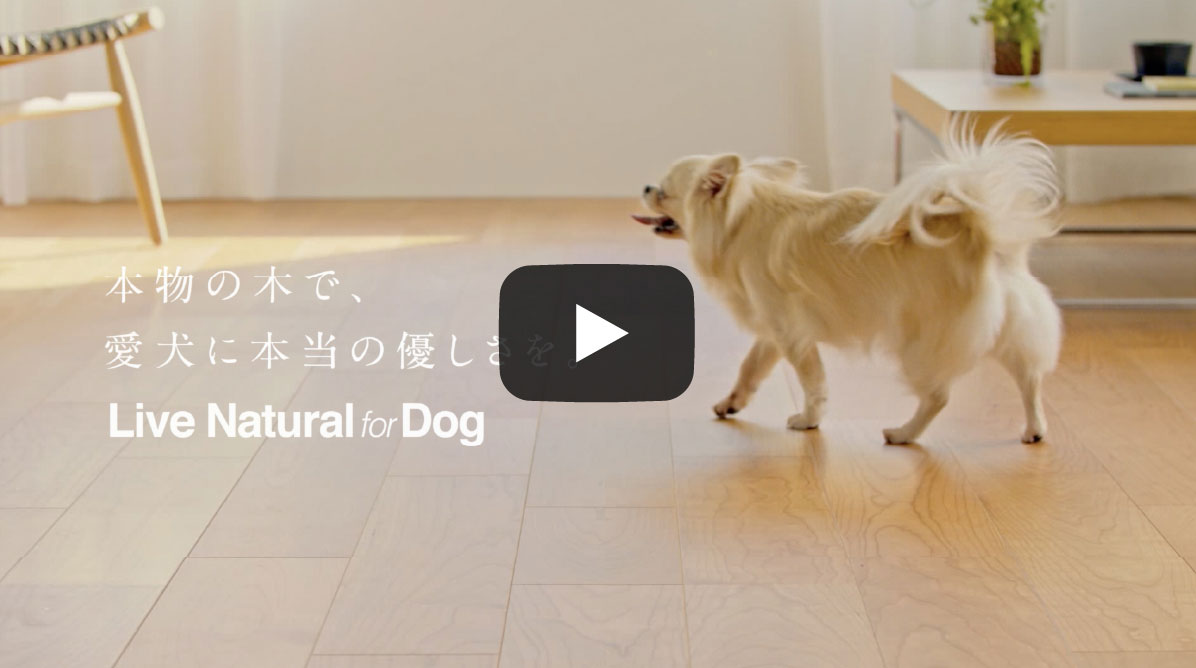 Live Natural for Dog 〈ショートver〉