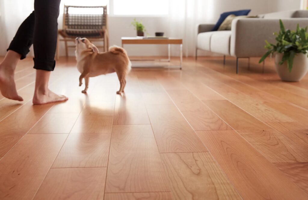 Live Natural for Dog