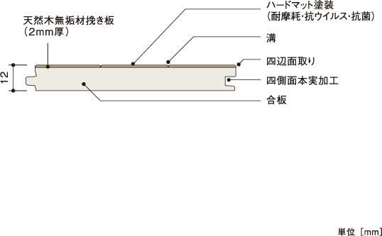 断面図 | 朝日ウッドテック 非住宅フローリング MESSAGE(メッセージ)