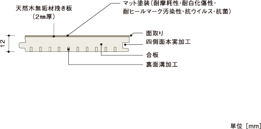 断面図 | 朝日ウッドテック 非住宅フローリング MESSAGE(メッセージ)