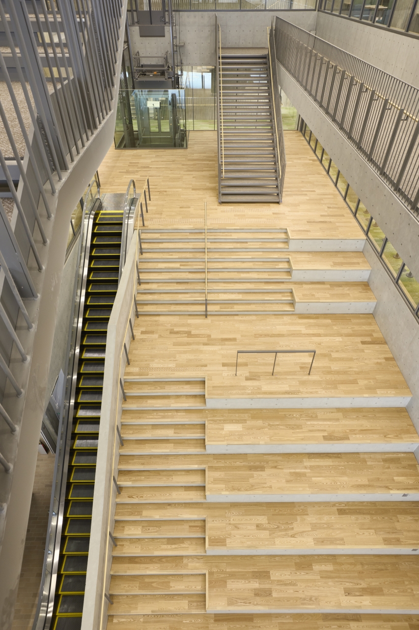 明治大学 生田キャンパス CENTER FOREST | 朝日ウッドテック 非住宅フローリング MESSAGE(メッセージ)