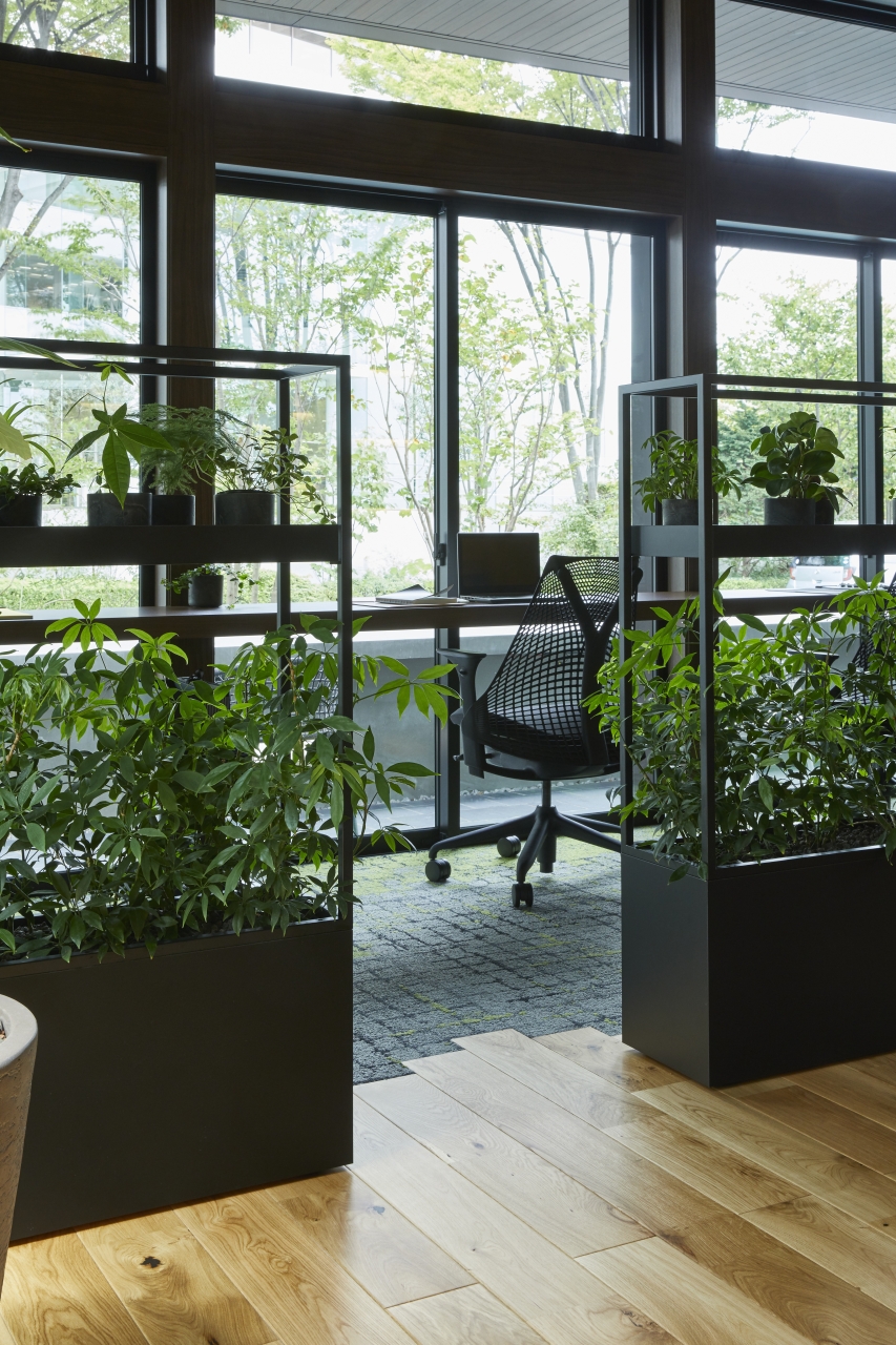 メッセージハード挽き板ラスティックボーダータイプオークのフローリング画像